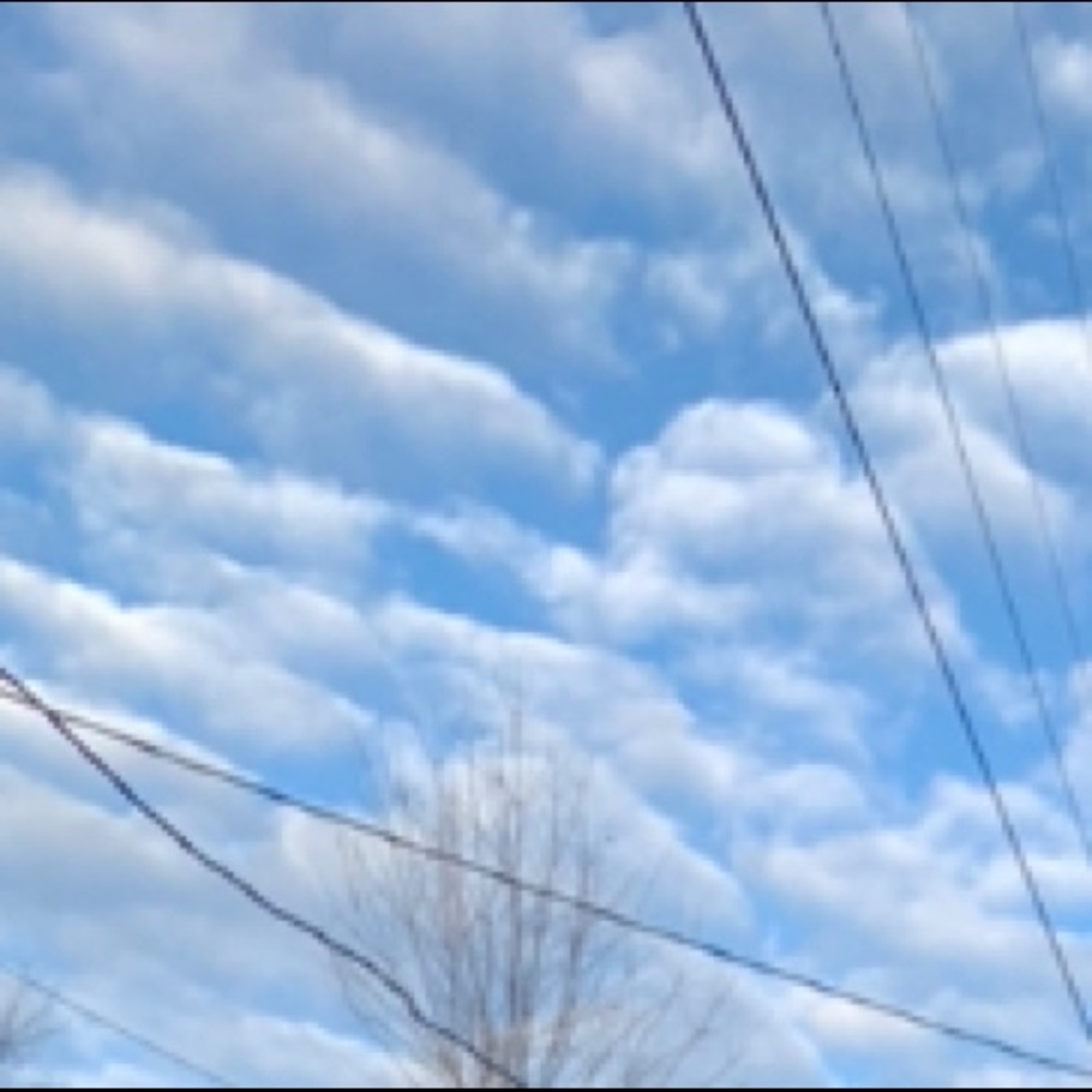 Small Trendy mystery box!